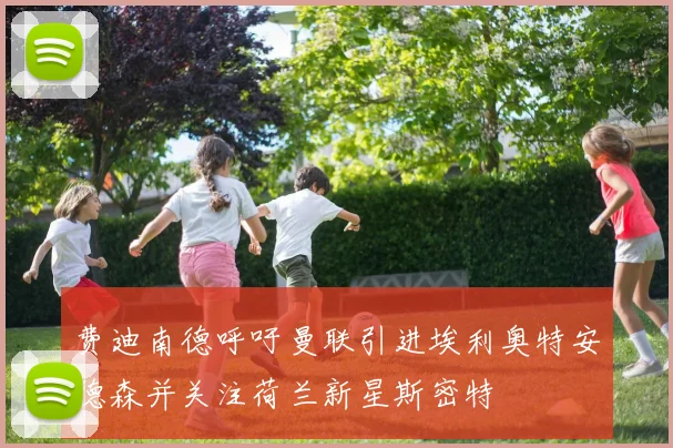 费迪南德呼吁曼联引进埃利奥特安德森并关注荷兰新星斯密特