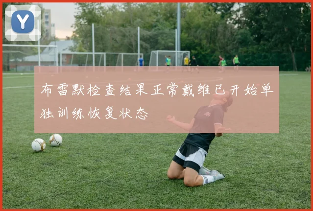 布雷默检查结果正常戴维已开始单独训练恢复状态
